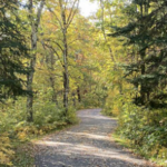 Paul Bunyan State Trail