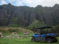 Take a tour at Kualoa Ranch & Zipline