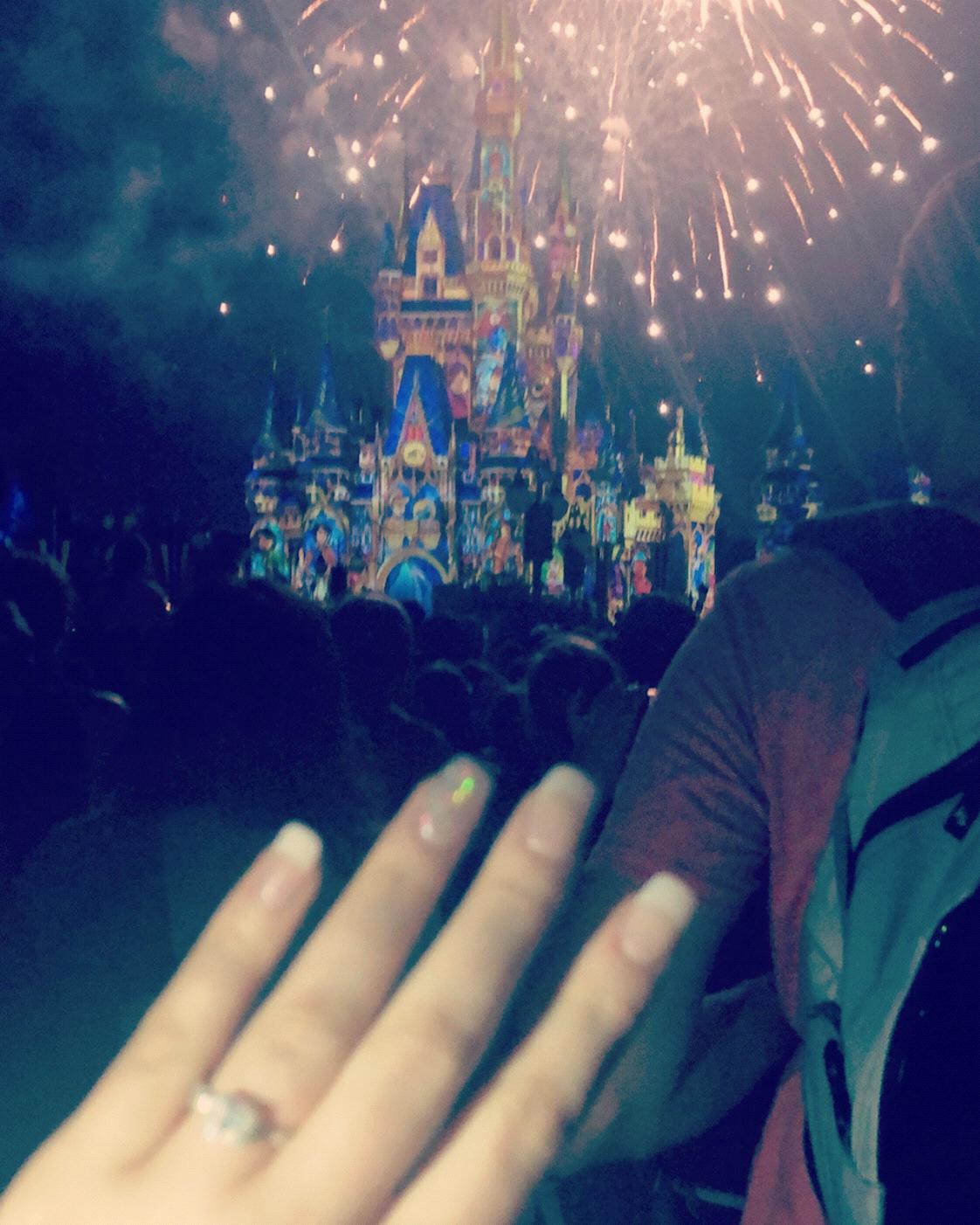 Disney Magic Kingdom proposal. 2/19/19