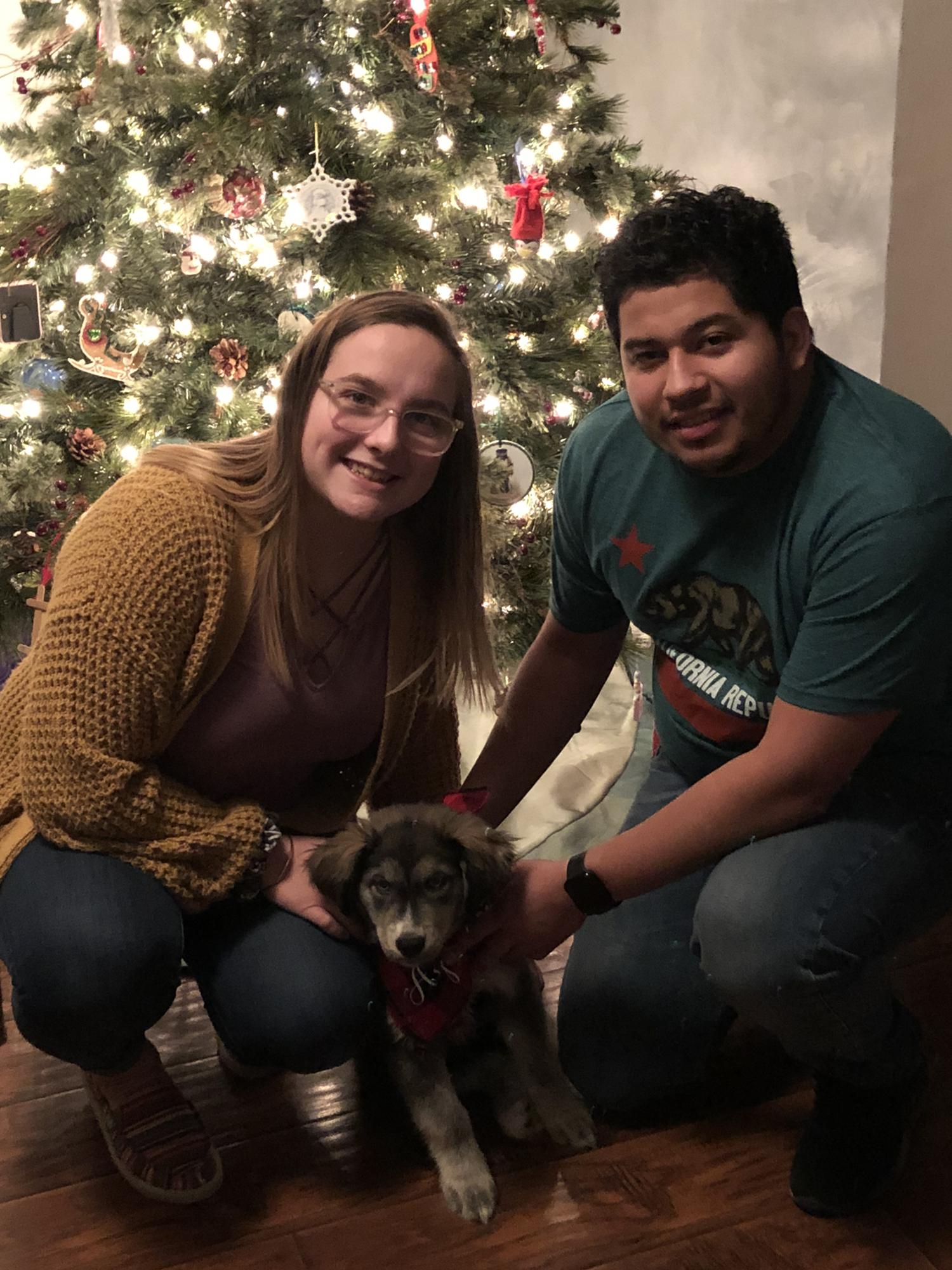 Our First Christmas with our pup Aspen 2018