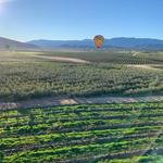 Temecula