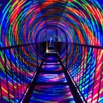 Museum of Illusions Pittsburgh