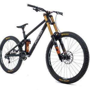 Mountain Bike Rentals