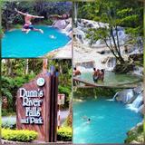 The World Famous Dunn's River Falls & Park