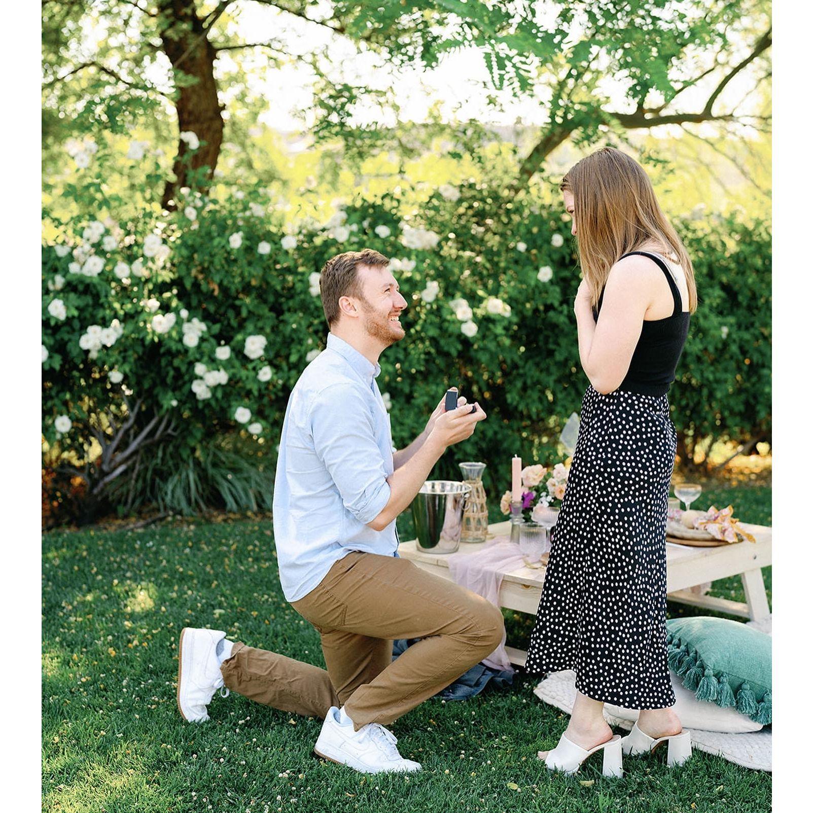2023 - The proposal