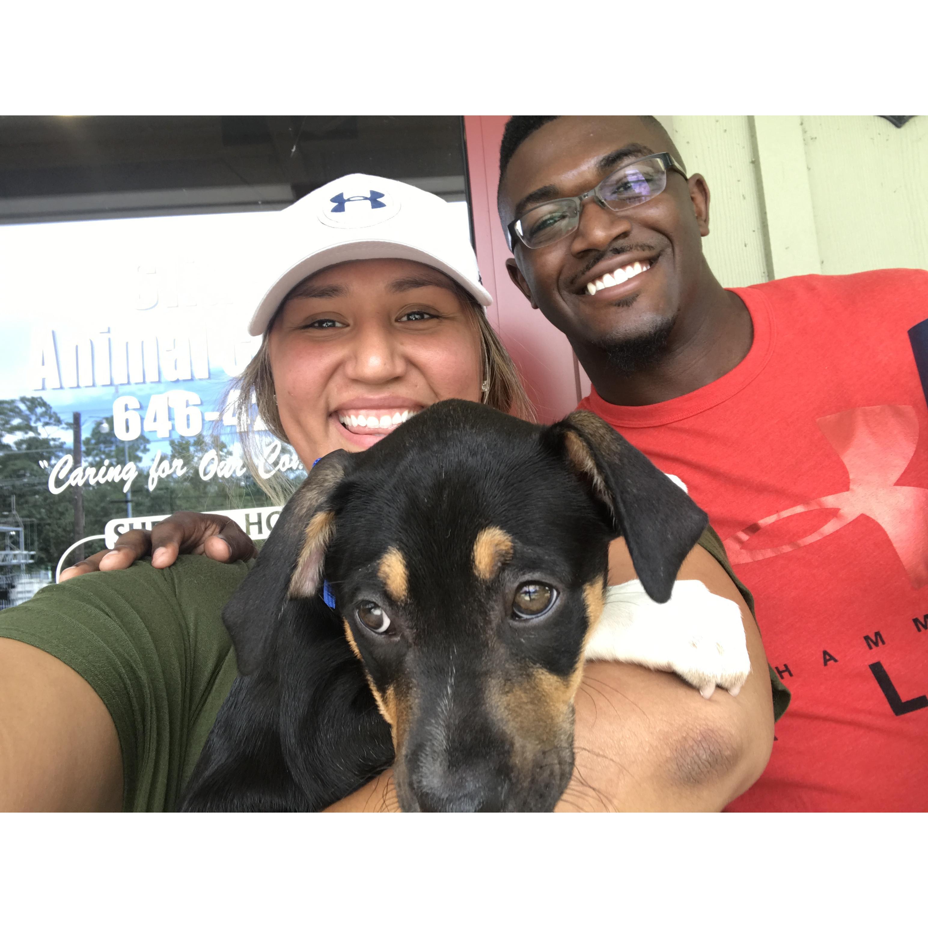 The day we adopted Kale!