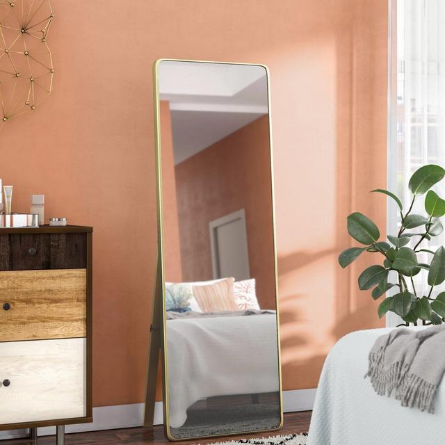 Ayrihanna Modern Full Length Mirror