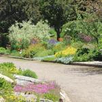 Yampa River Botanic Park