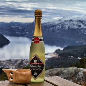 Fund our expensive taste in local Norwegian ciders (honeymoon)