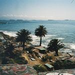 The Beach House