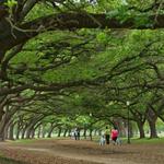 Hermann Park