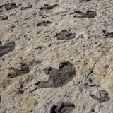 Dinosaur Ridge Trailhead