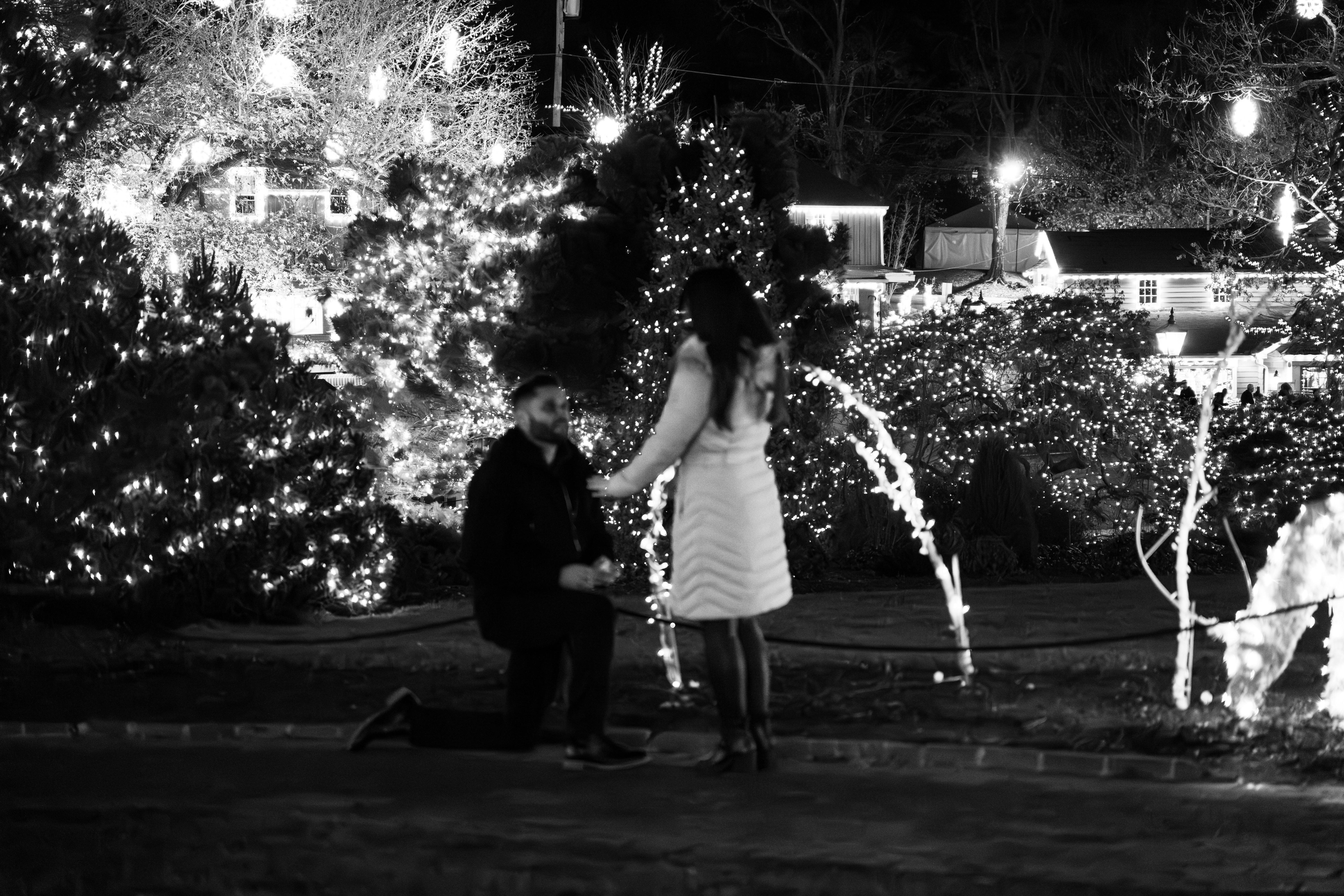 The Wedding Website of Samantha Vigna and Patrick Traina