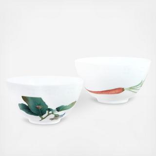Kyoka Shunsai Rice Bowl, Set 2