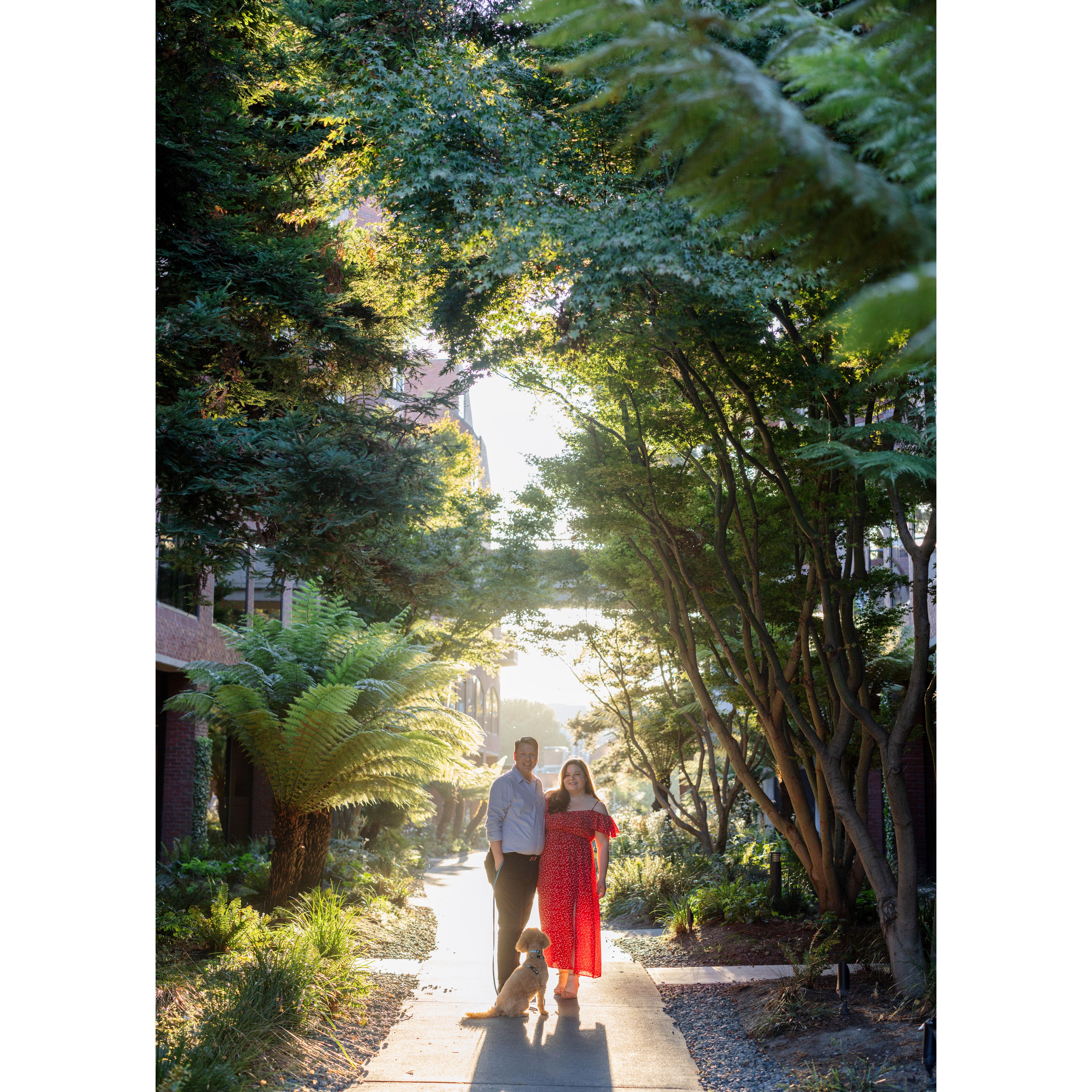 Would you believe this is an alley right by our house in San Francisco? Wally loves hunting for the best rock along this path on our morning walks.