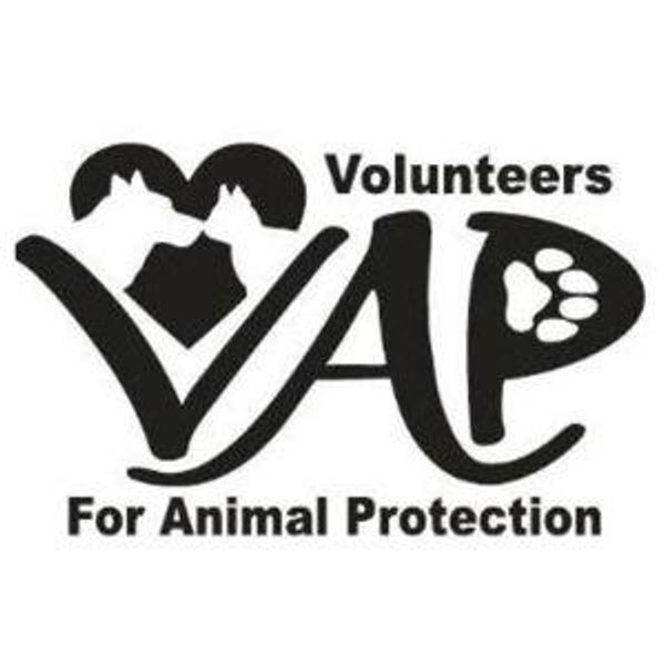 Volunteers For Animal Protection