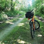 Wiouwash Trail