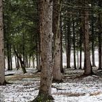 Lake Nockamixon State Park