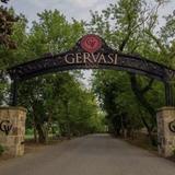 Gervasi Vineyard