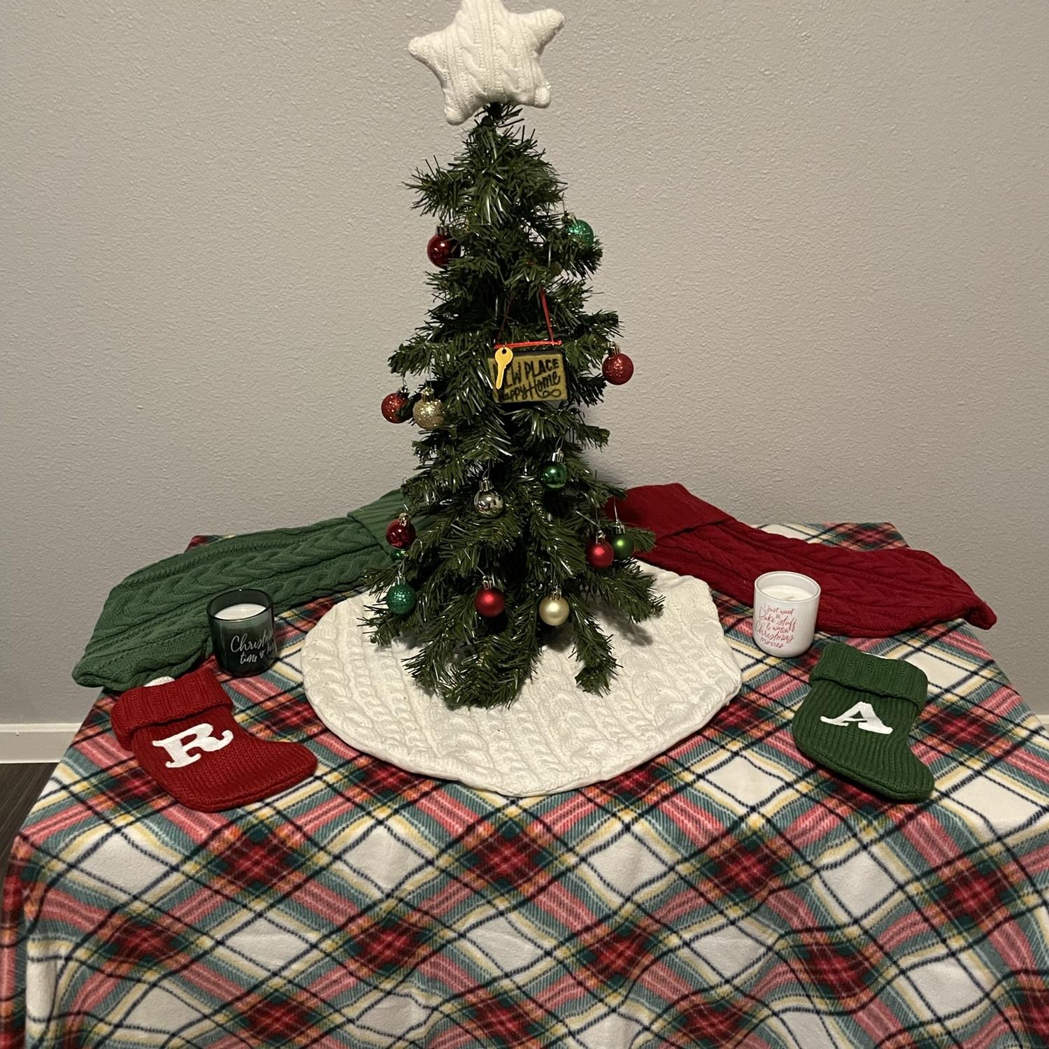 Our first Christmas together in our first apartment!