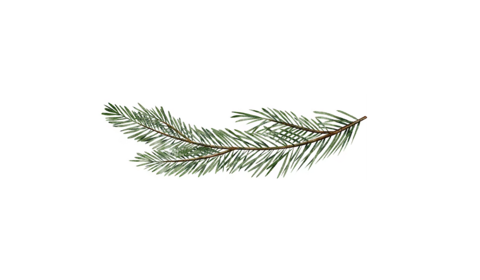 Footer image