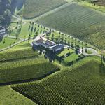 Breaux Vineyards