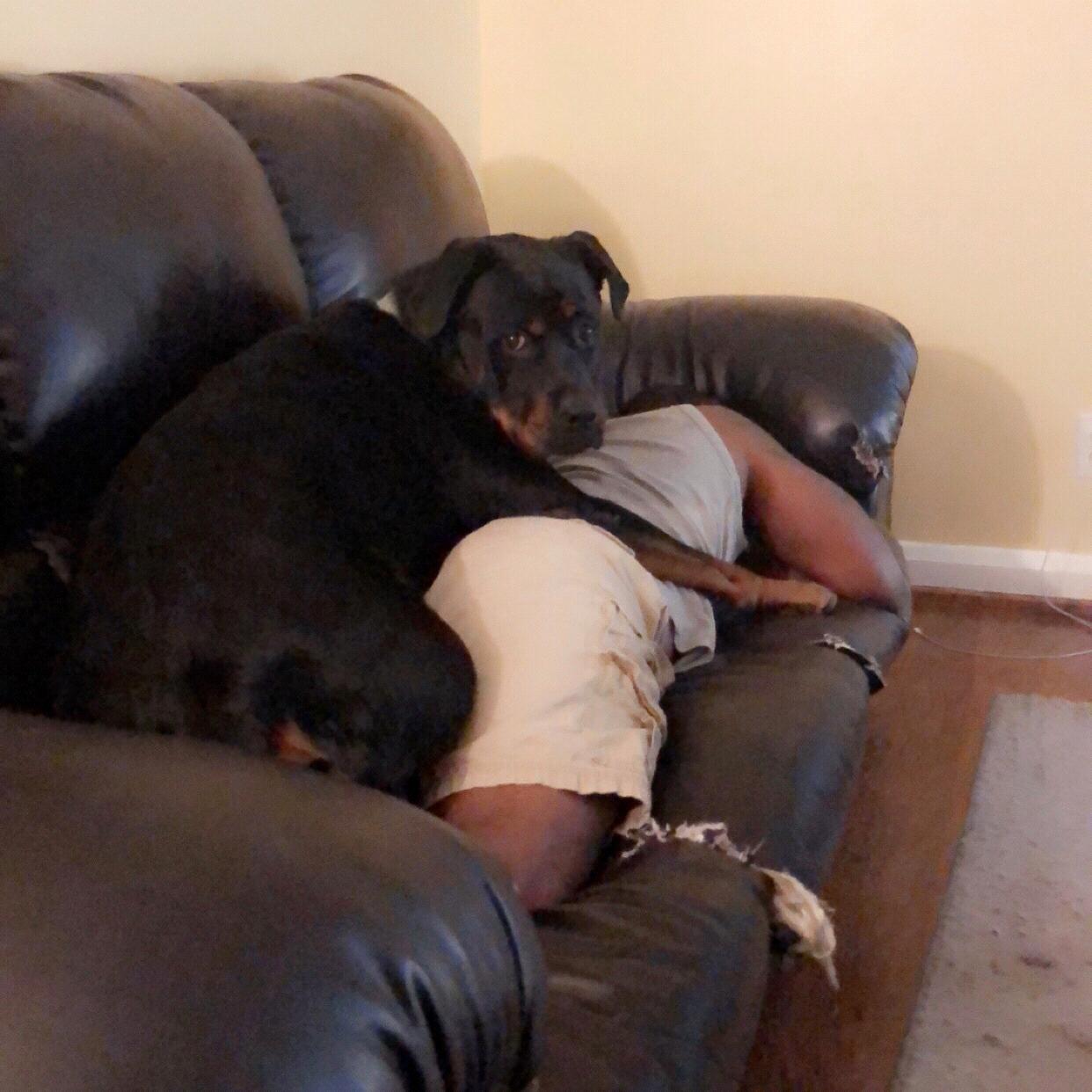 Tommy gets super jealous and protective of Daddy