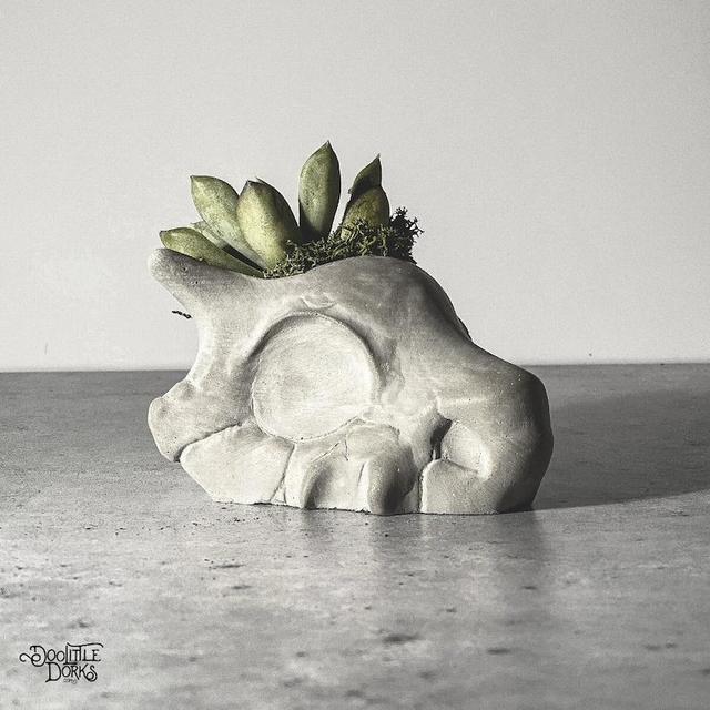 Cubone Planter | Concrete Succulent Planter