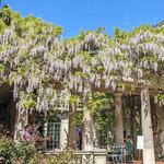Van Vleck House & Gardens