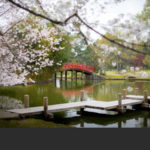 Memphis Botanic Garden
