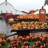 Huber's Family Farm & Winery