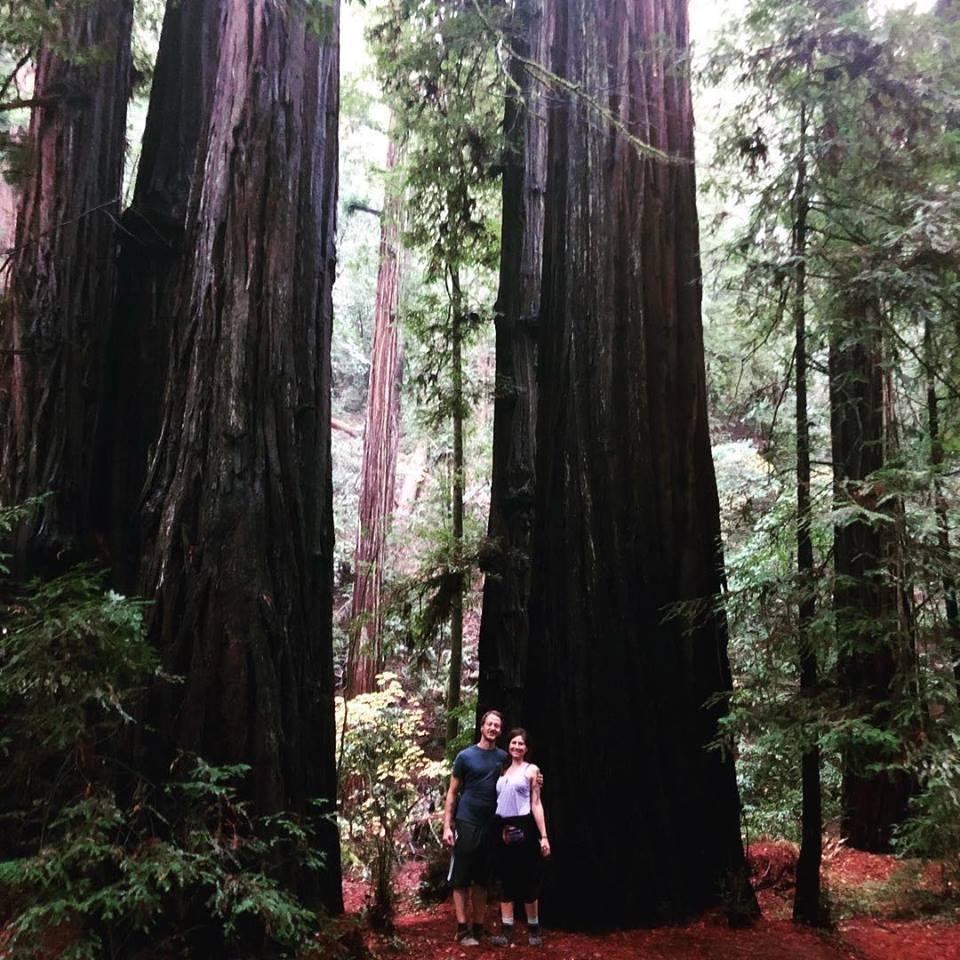 Armstrong Woods