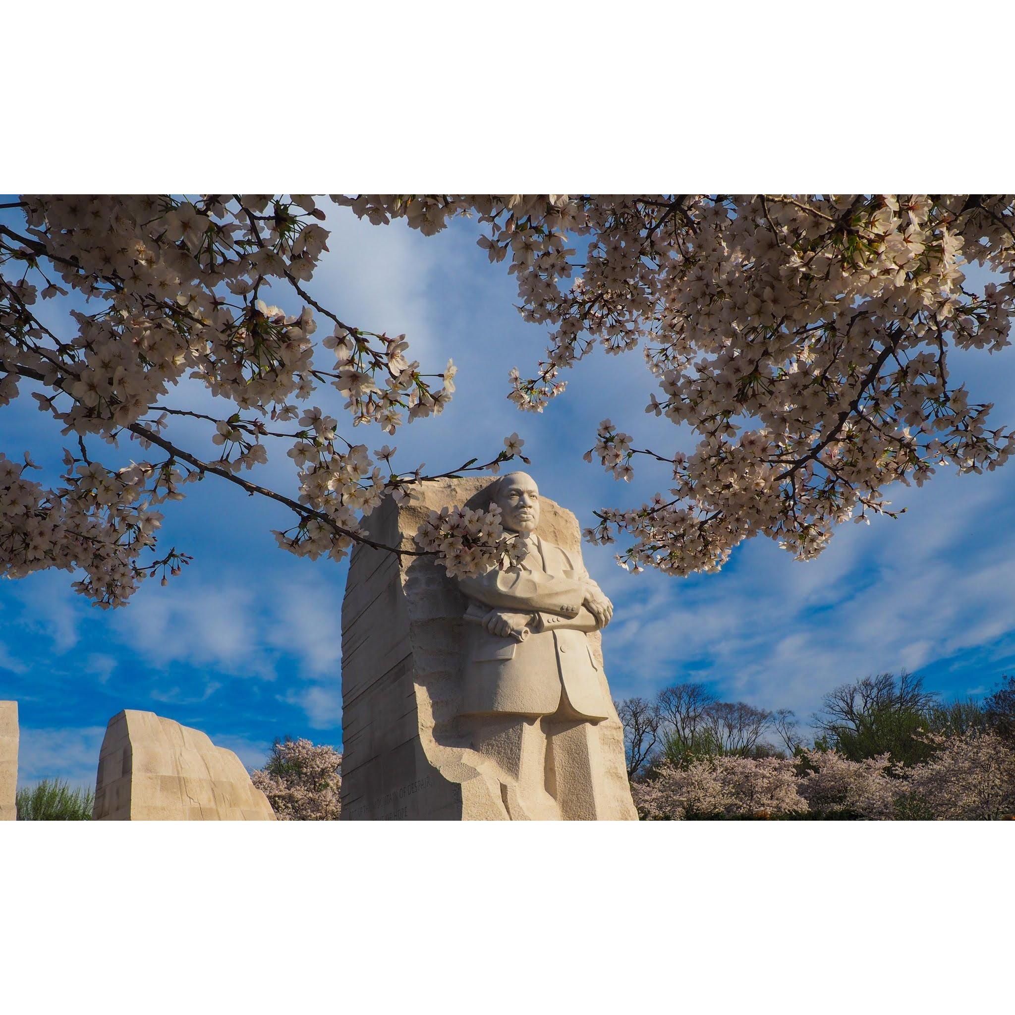 We chose to get married on Martin Luther King, Jr., weekend. As an interracial family, we hope to build a family and village that embraces King's idea of a Beloved Community.