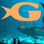 Georgia Aquarium