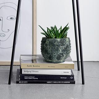 Distressed Hobnail Planter