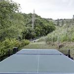 Compete in a ping pong match