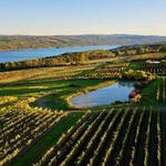 Winery Hopping