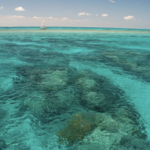 John Pennekamp Coral Reef State Park