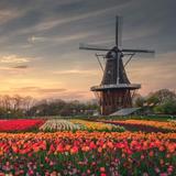 Holland