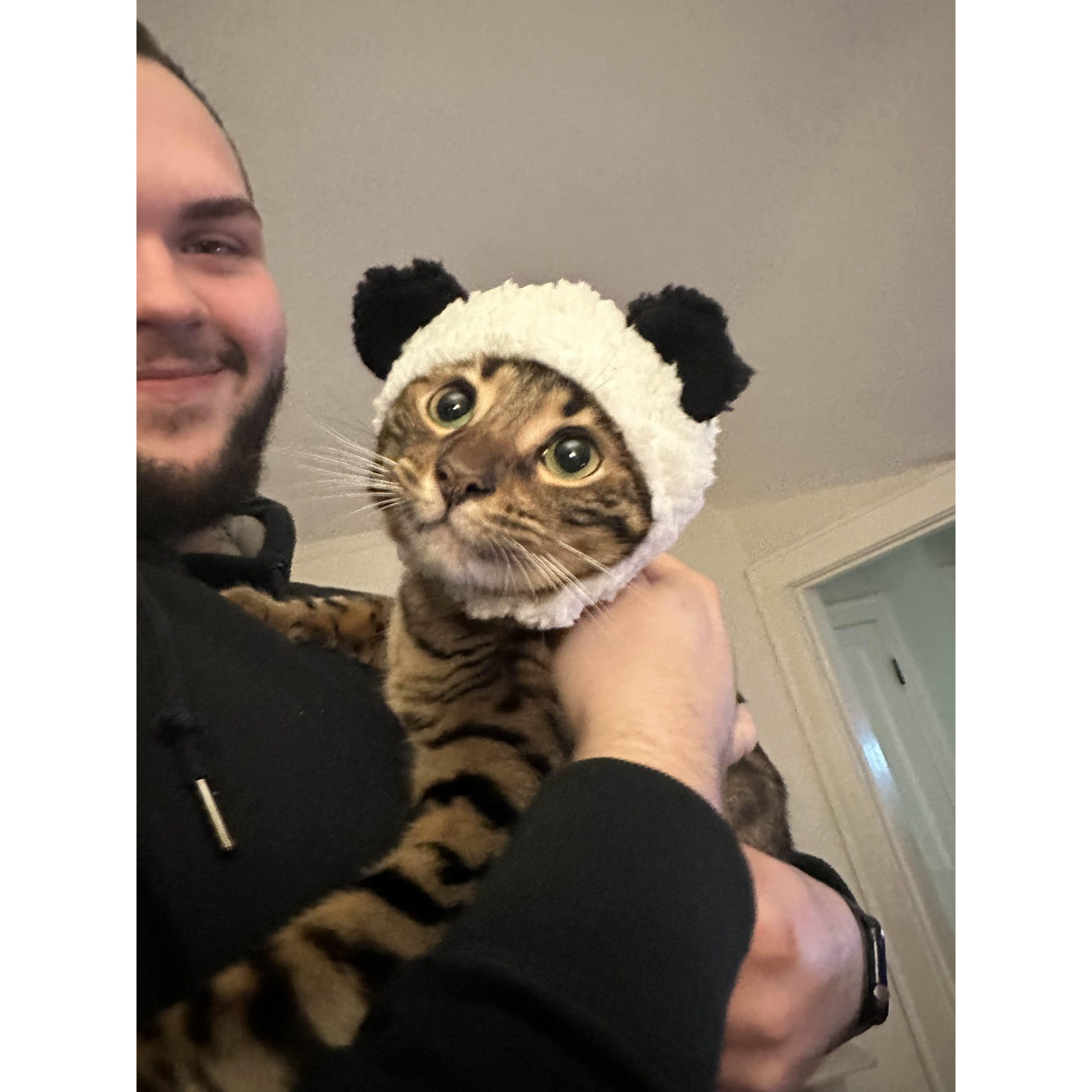 When Aaron bought Leon a hat