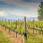 3. Check out the many wineries and breweries of the area