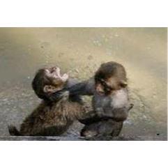 Our first fight.