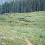 Hiking