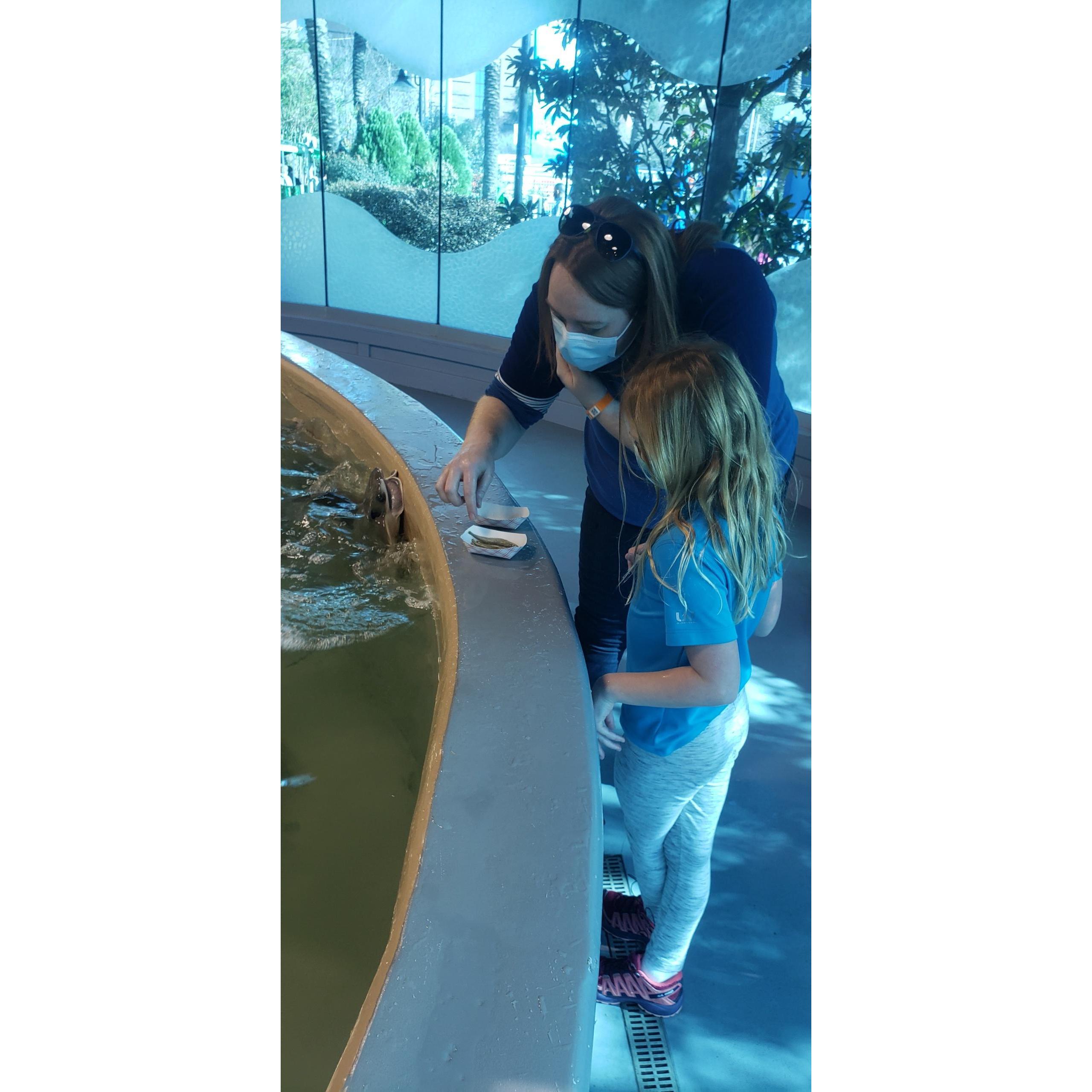 Feeding stingrays with Hannah