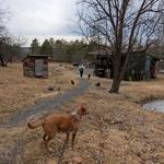 Mariaville Goat Farm
