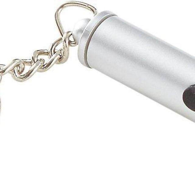 Laser pointer for cats