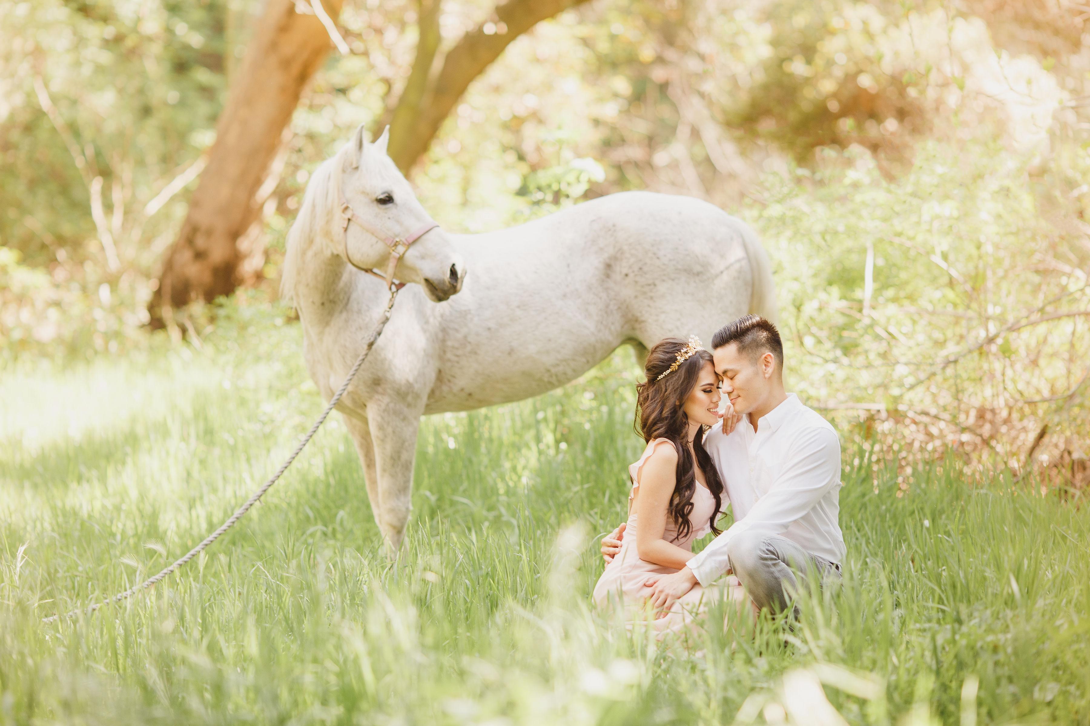The Wedding Website of Ella Yan and Morris Yeh