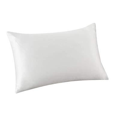 ALASKA BEAR - Natural Silk Pillowcase, Hypoallergenic, 19 Momme, 600 Thread Count 100 Percent Mulberry Silk, King Size with Hidden Zipper(1, Arctic White)