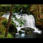 Whatcom Falls Park