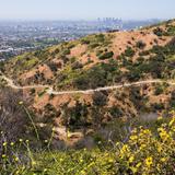 Runyon Canyon Park